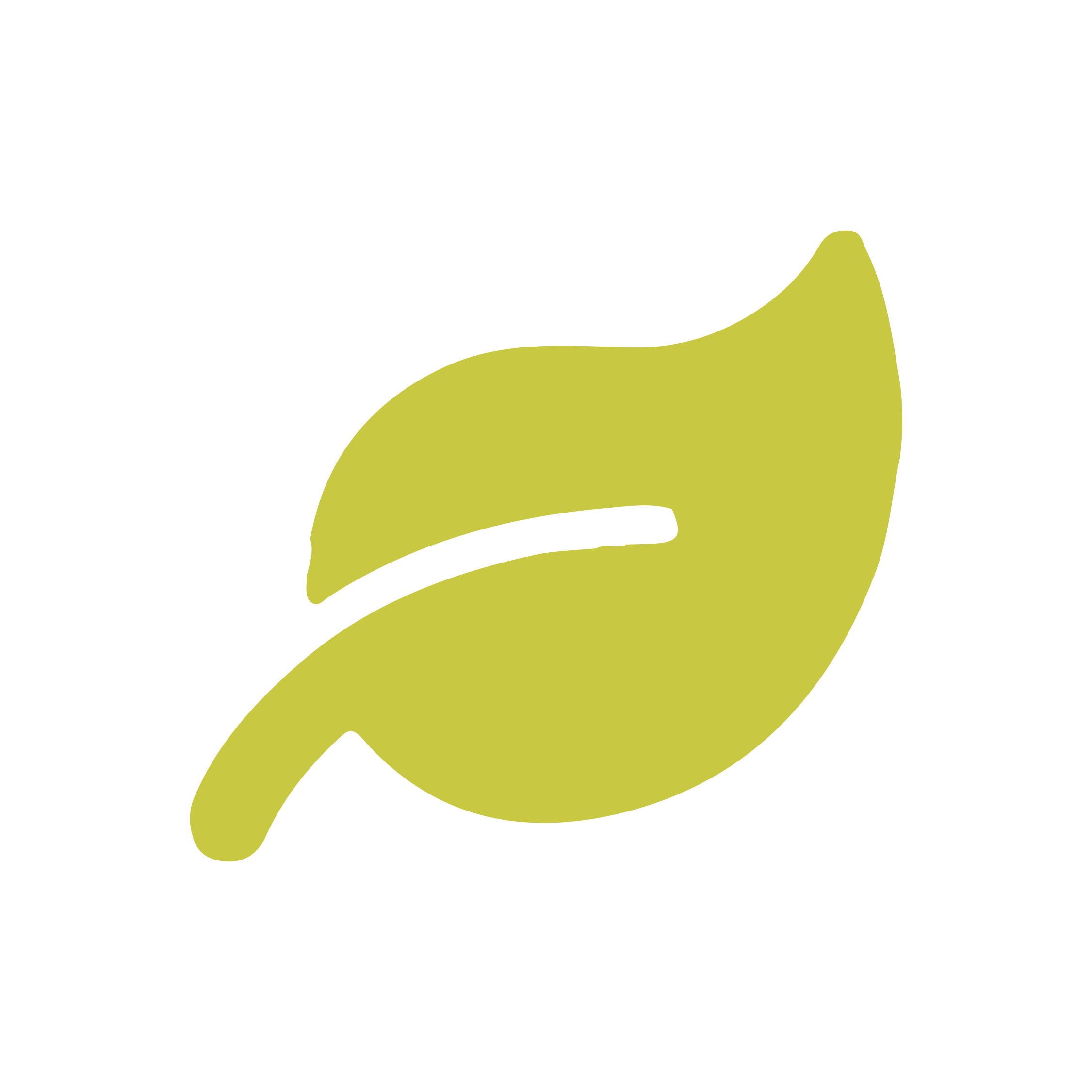 Environnement