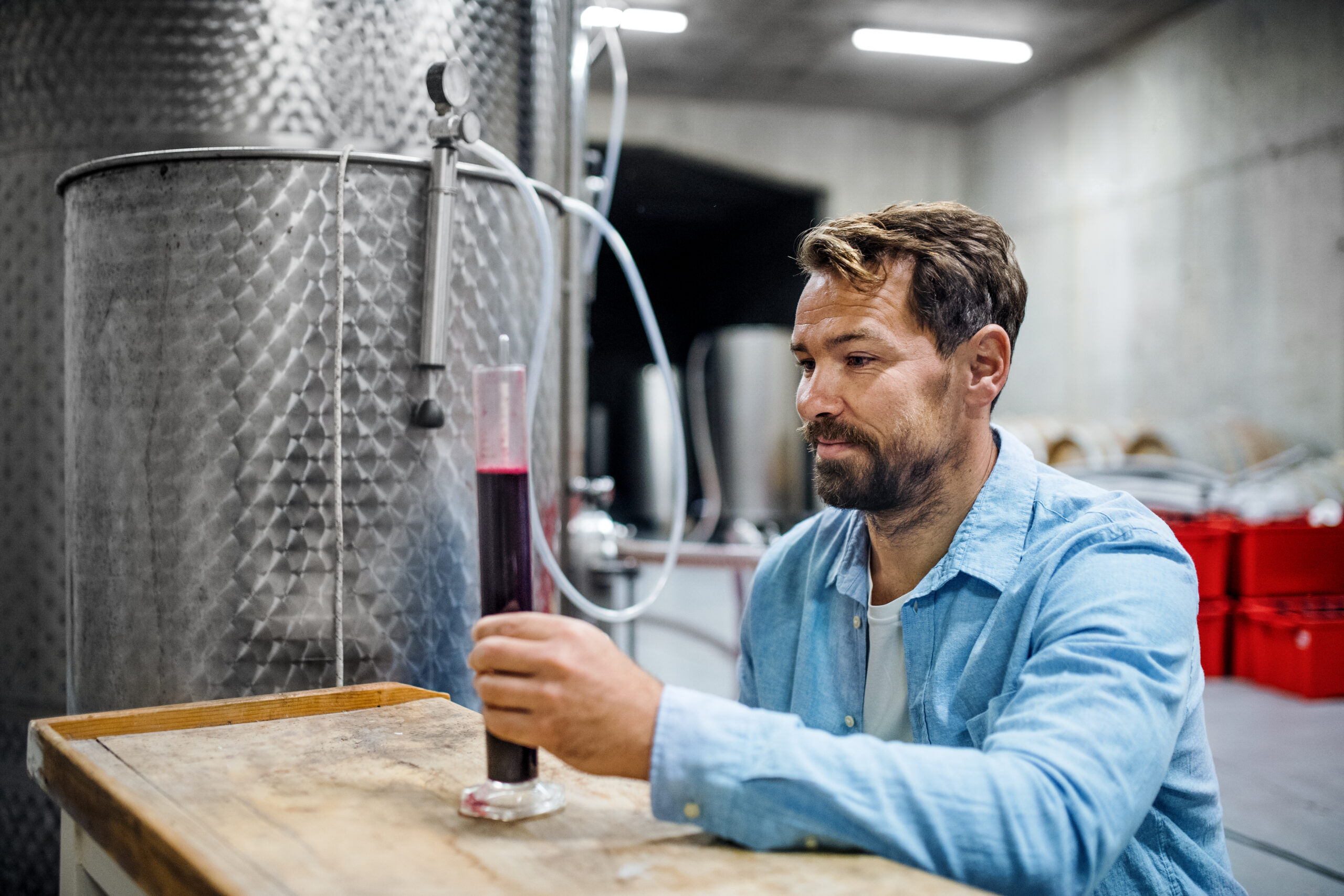 Portrait d'un ouvrier travaillant à l'intérieur dans une cave, concept de vinification.